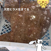 画像375