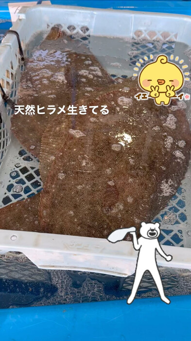 画像375