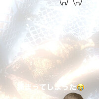 画像377