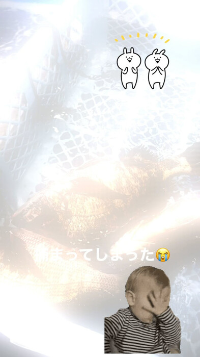 画像377
