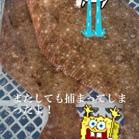画像379
