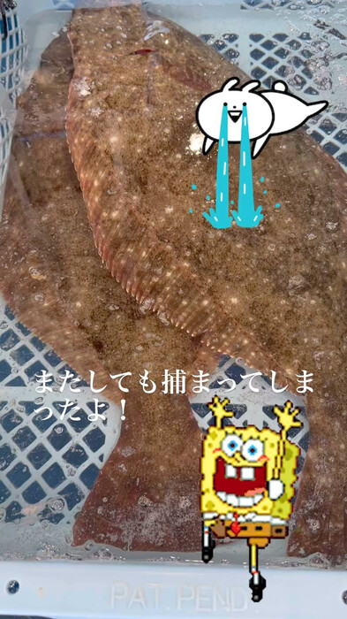 画像379