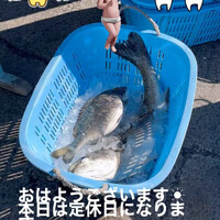 画像387