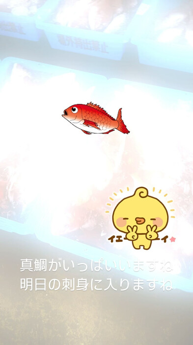 画像405
