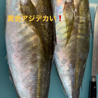 画像429