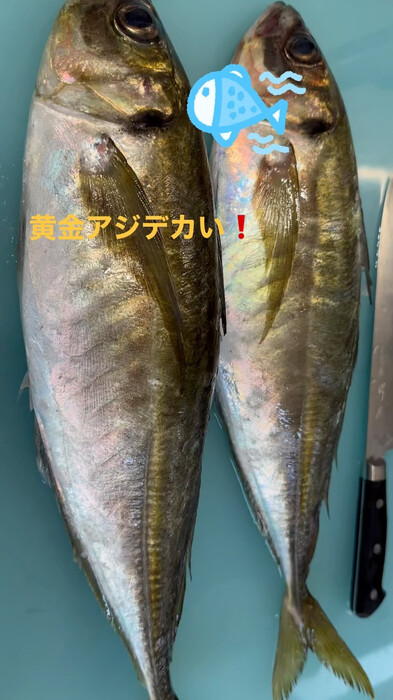 画像429