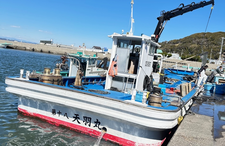 君津でおいしい海鮮を楽しもう！特別な時間を演出する海鮮食堂